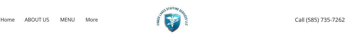 Finger Lakes Staffing Services LLC